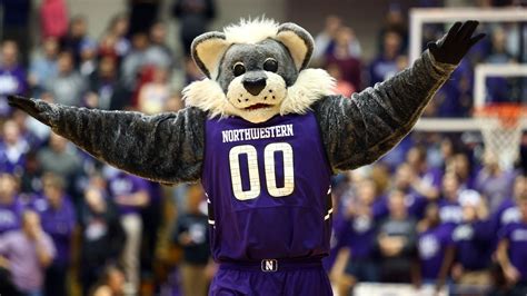 Northwestern basketball mascot
